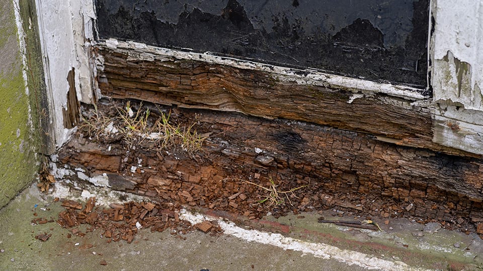 Wood rot replacement service